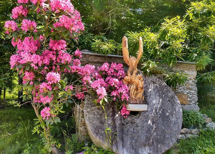 Apartment Dani By Interhome